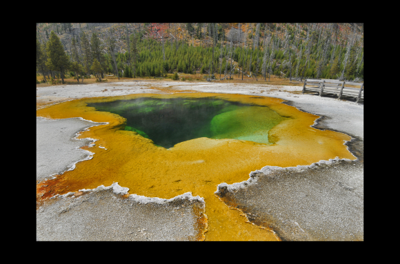 Emerald Pool Source hydrothermale (Yellowstone NP, USA)